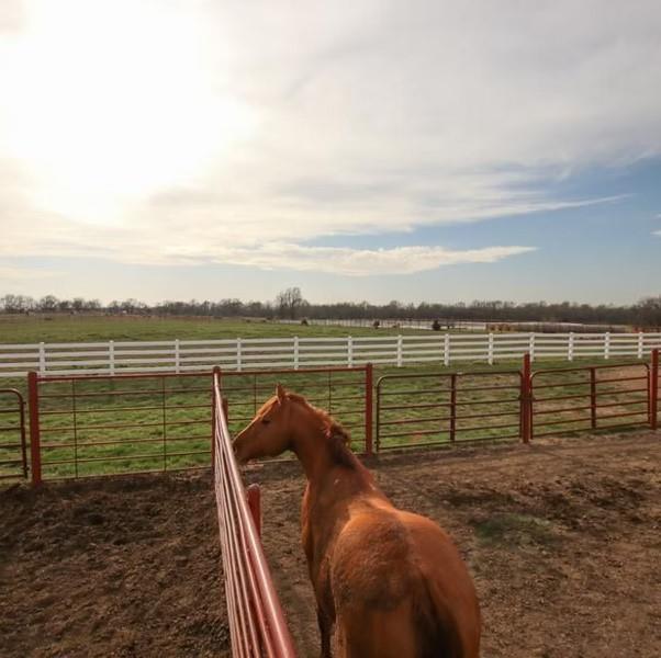 22299 Sacajawea Road Sedalia, MO 65301 - Photo 44 of 48