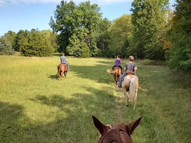 $875,000 | 22299 Sacajawea Road, Sedalia, MO 65301