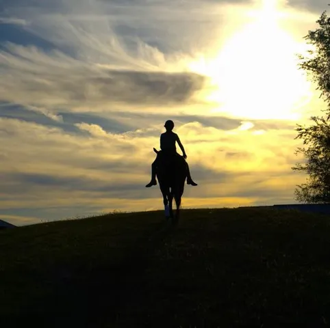 $875,000 | 22299 Sacajawea Road, Sedalia, MO 65301