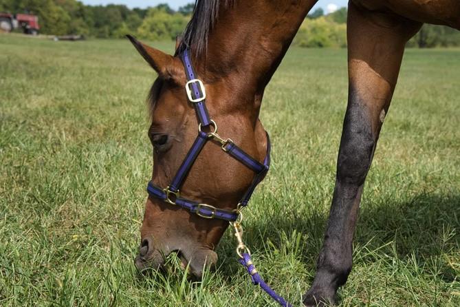 22299 Sacajawea Road Sedalia, MO 65301 - Photo 5 of 48