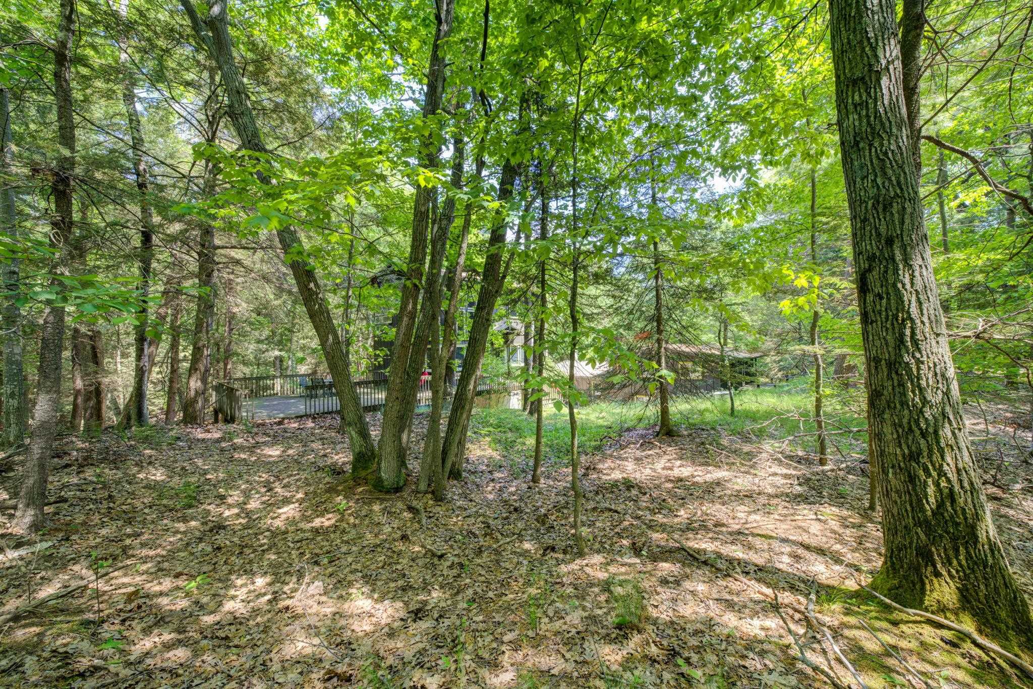 3312 Old State Road Frankfort, MI 49635 - Photo 60 of 85