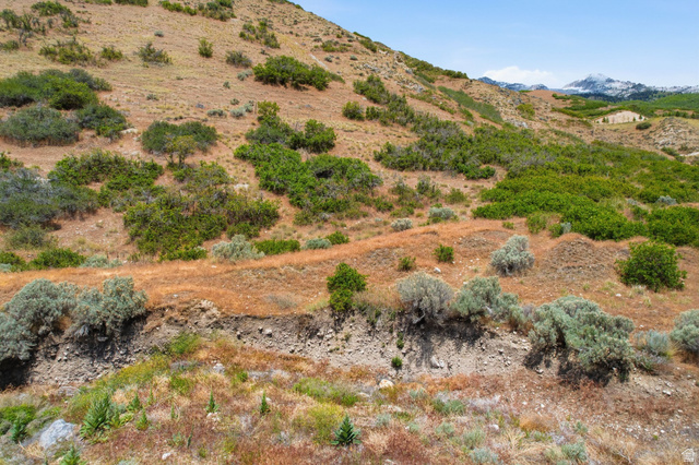 1817 North Dean Court, Unit 12 Alpine, UT 84004 - Photo 15 of 38 Expansive hillside terrain featuring varied natural vegetation and distant mountain peaks