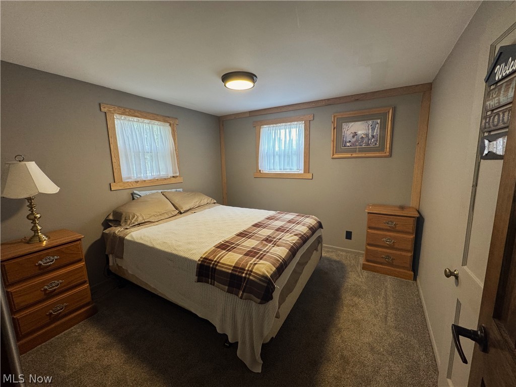 4421 State Road South Ashtabula, OH 44004 - Photo 14 of 18 Carpeted flooring, two windows with wood trim, wood-trimmed walls, and a ceiling-mounted light fixture