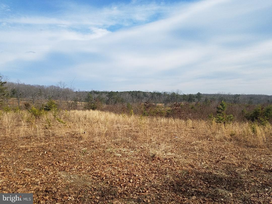 Clear cut lot