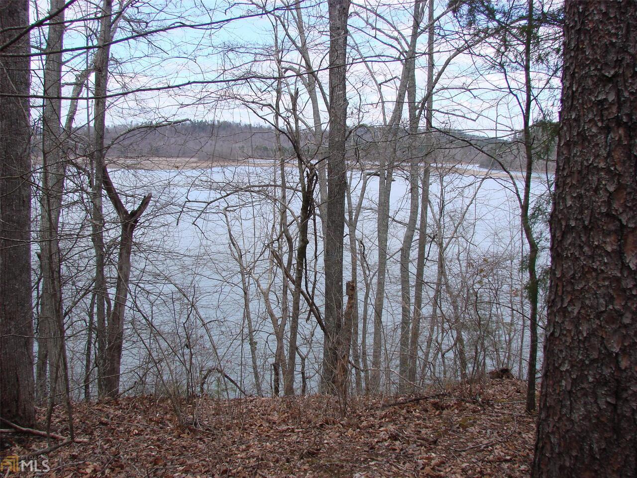 0 Riverdale Road, Unit 3B Toccoa, GA 30577 - Photo 1 of 1 Gallery Image 1