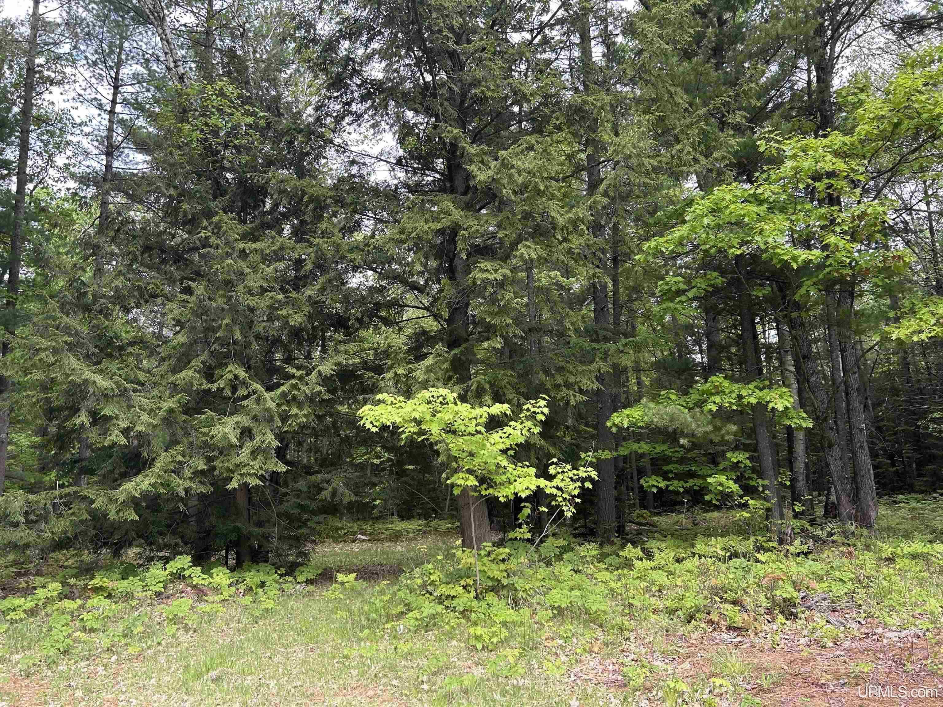 109 Brown Deer Road Marquette, MI 49855 - Photo 54 of 55