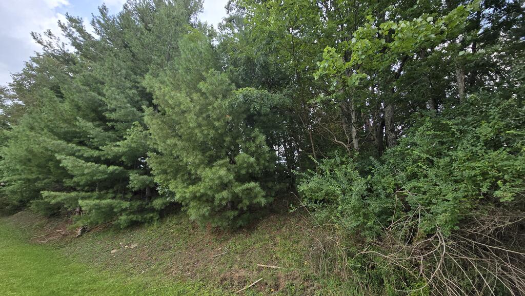 0 Scott Ridge Road Beaver, WV 25813 - Photo 4 of 5 Gallery Image 4
