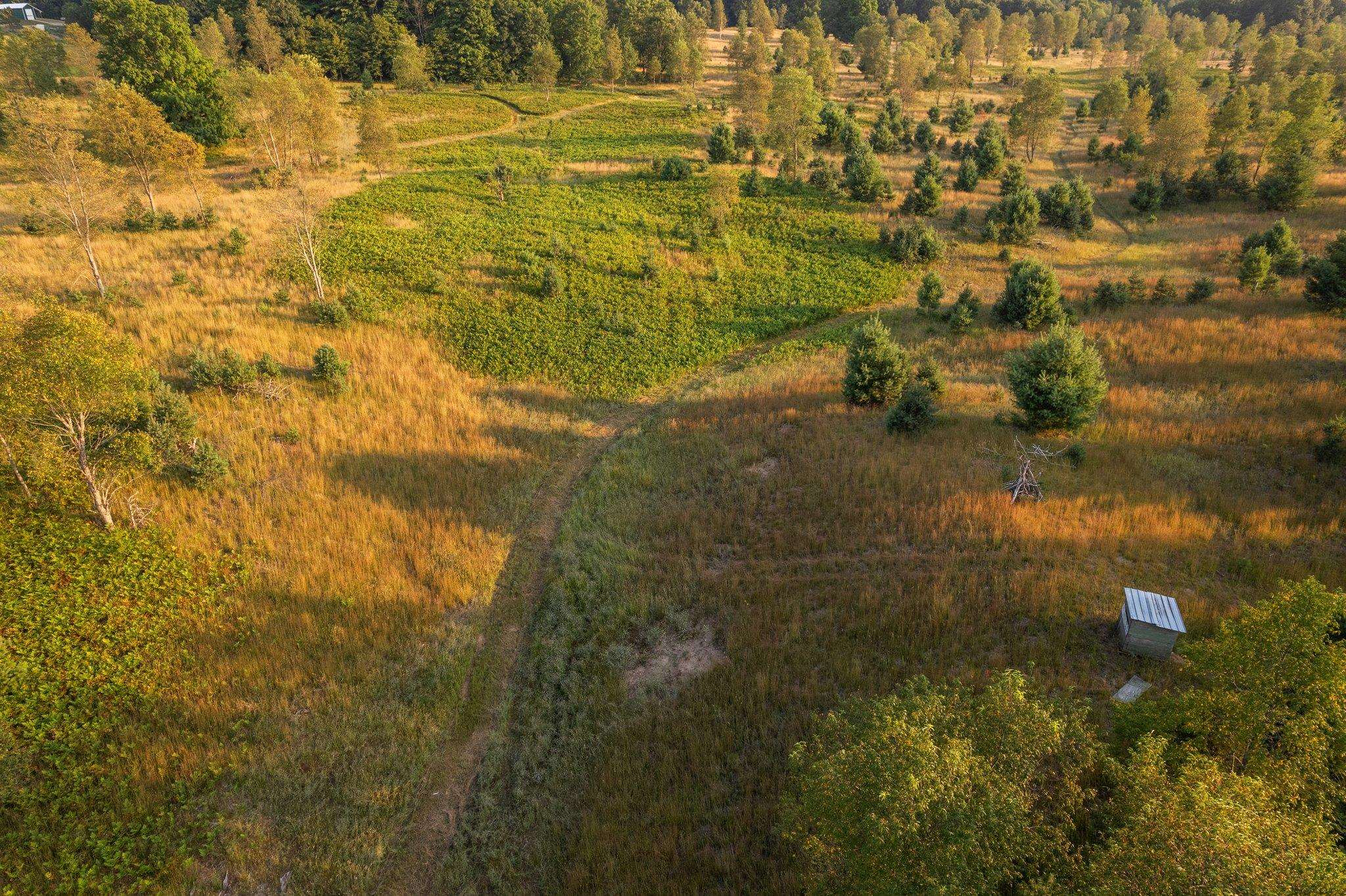 0 Inman Road Southwest Fife Lake, MI 49633 - Photo 20 of 29