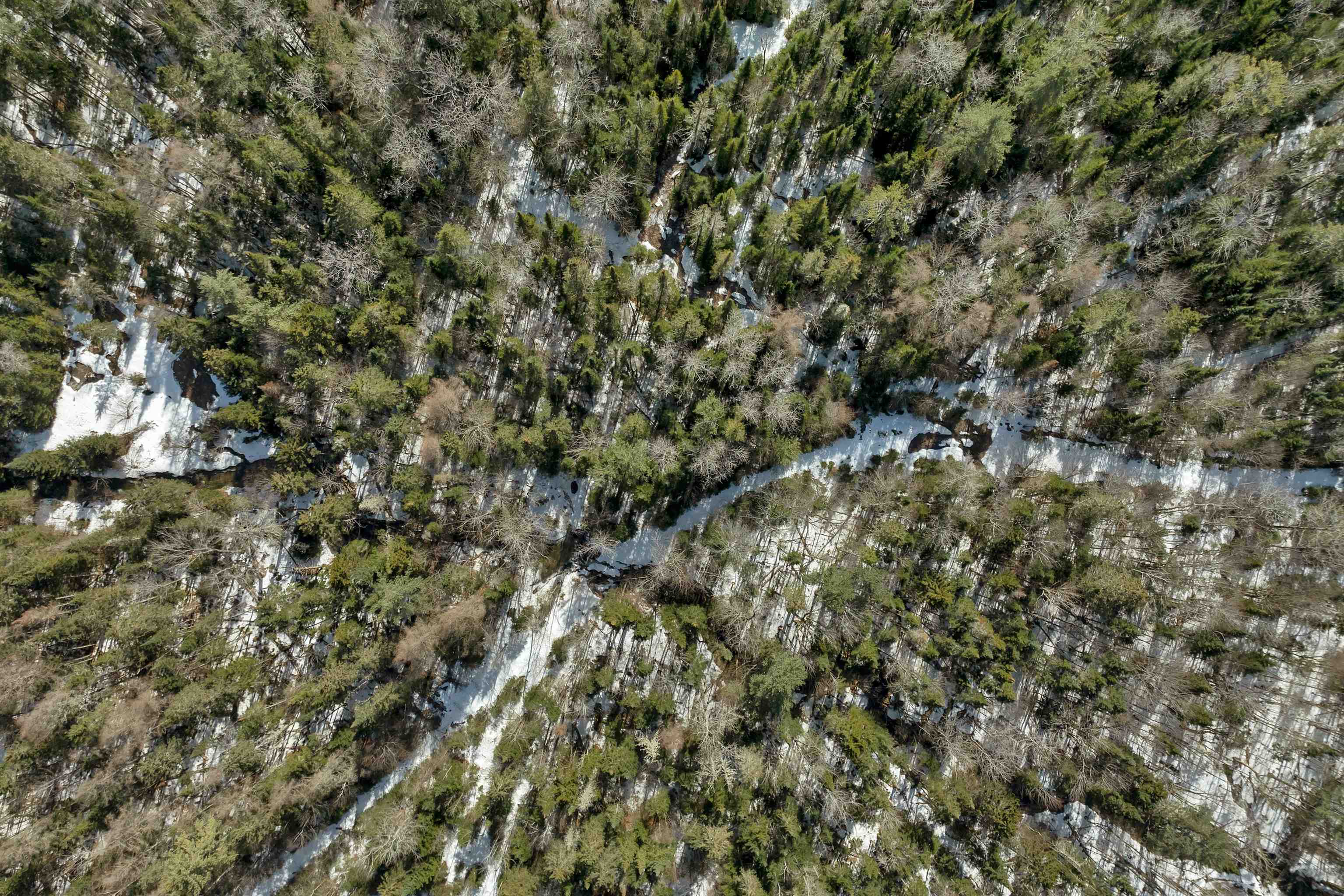 1720 Broomstick Hill Road Littleton, NH 03561 - Photo 24 of 26