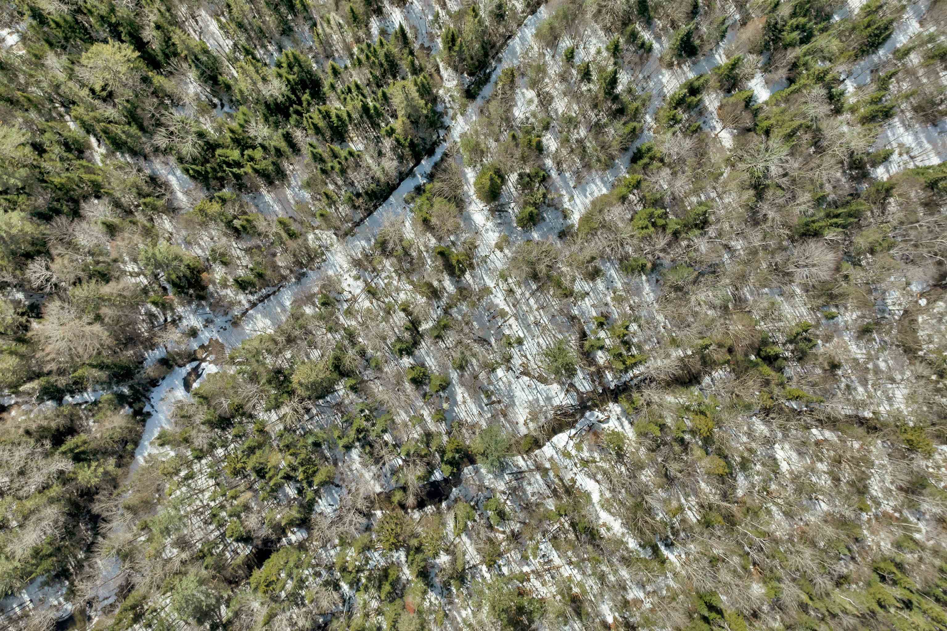 1720 Broomstick Hill Road Littleton, NH 03561 - Photo 25 of 26