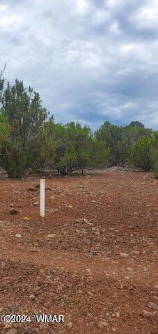 6 County Road Show Low, AZ 85901 - Photo 1 of 1