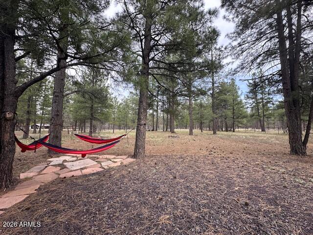 207 Blue Ridge Road Mormon Lake, AZ 86038 - Photo 37 of 67 Peaceful and Serene
