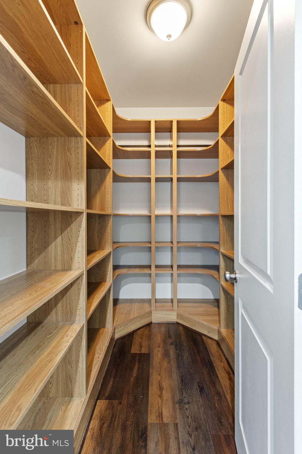 10602 Springvale Lane Spotsylvania, VA 22551 - Photo 17 of 92 a view of walk in closet with empty racks