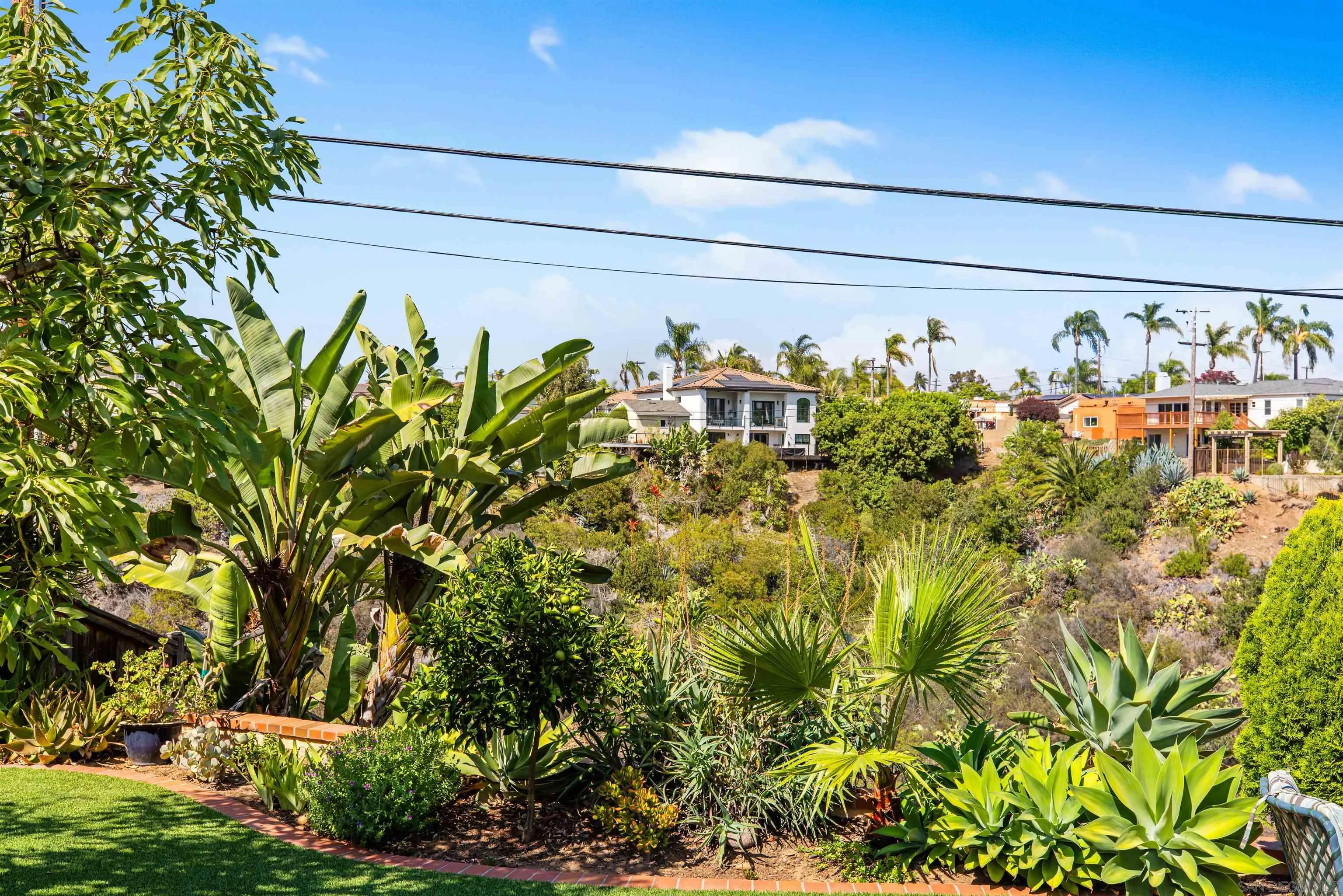 4192 Rochester Road San Diego, CA 92116 - Photo 32 of 38 a view of a bunch of plants and trees