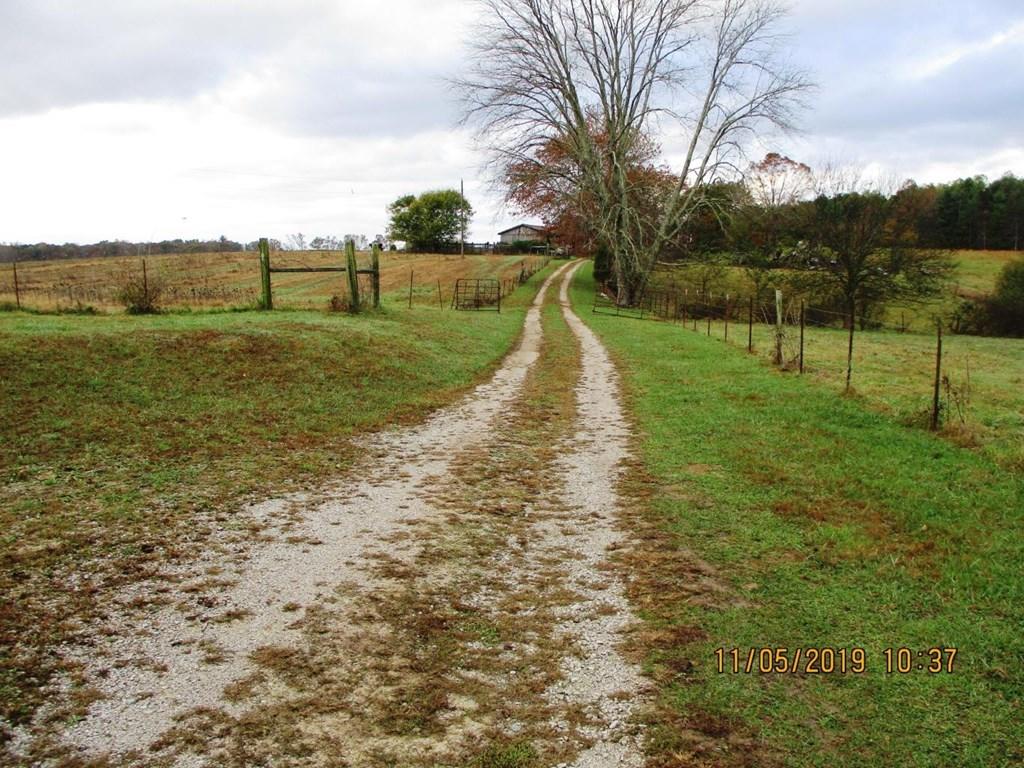 Lot 1 Doc Loy Road Grandview, TN 37337 - Photo 4 of 8 Farm Roads throughout the property