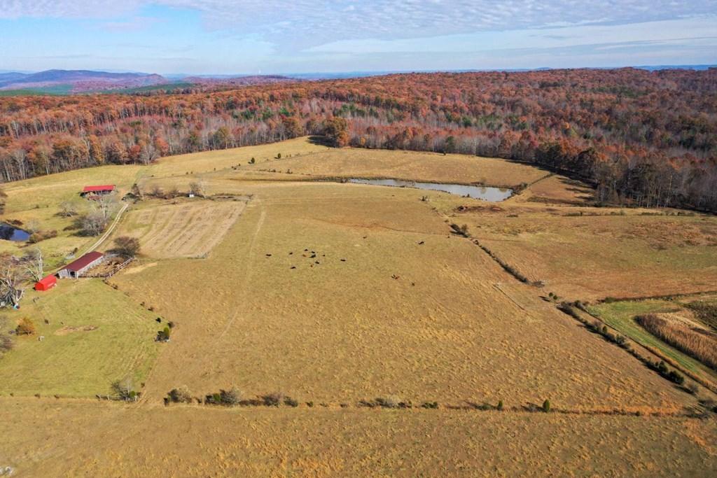 Lot 1 Doc Loy Road Grandview, TN 37337 - Photo 6 of 8 Pasture lot 2-3