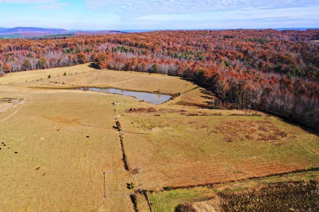 Lot 1 Doc Loy Road Grandview, TN 37337 - Photo 7 of 8 Pasture Pond