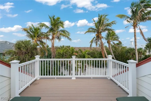 a view of a wooden deck with a palm tree