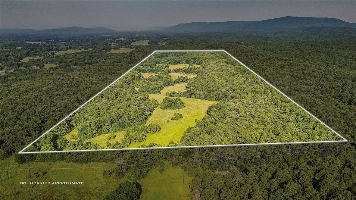 Square Rock Road Waldron, AR 72958 - Photo 1 of 16 Expansive undeveloped land featuring a mix of mature woodland and open grassy clearings
