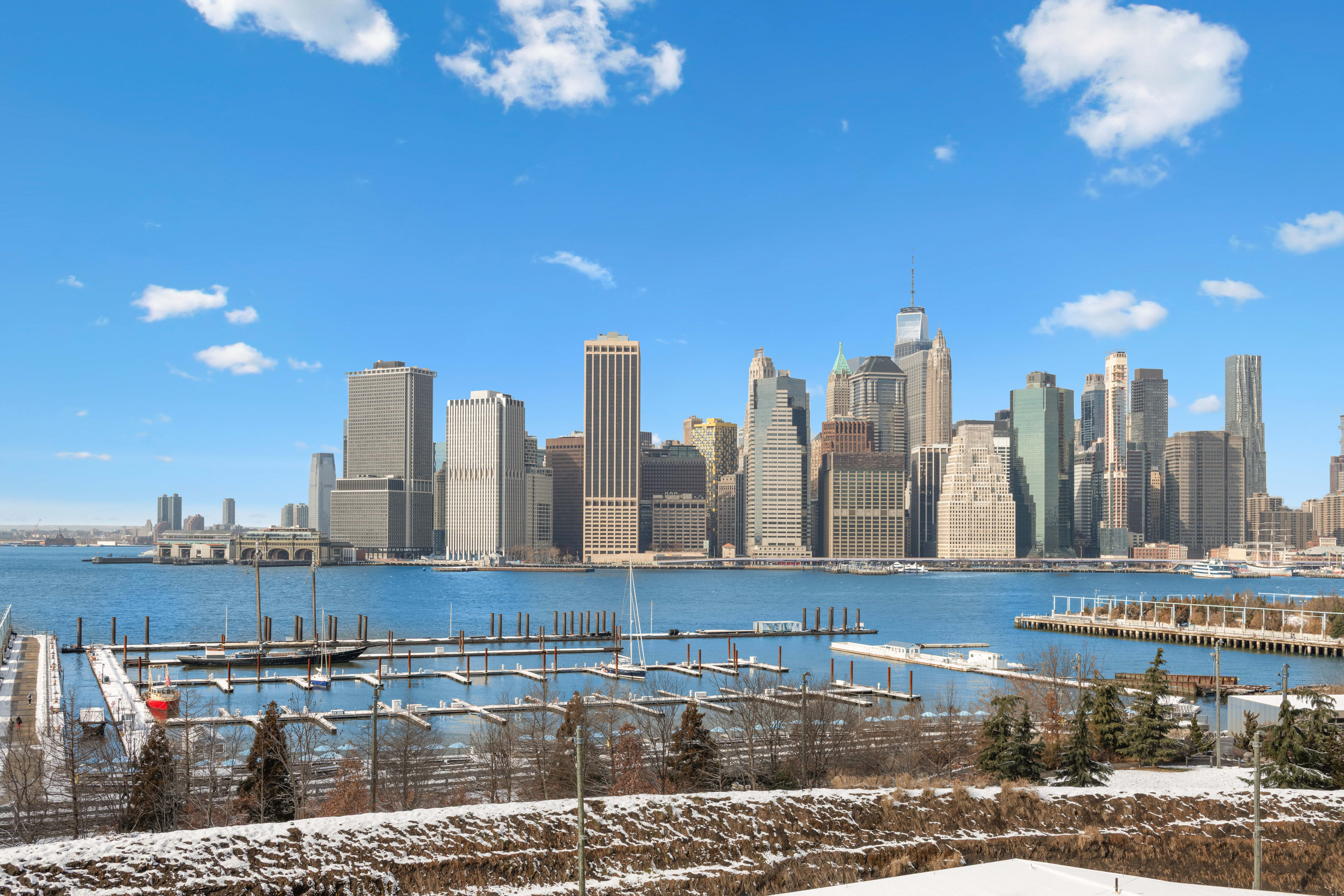 2 Grace Court, Unit 3X Brooklyn, NY 11201 - Photo 7 of 8 a view of a city with tall buildings