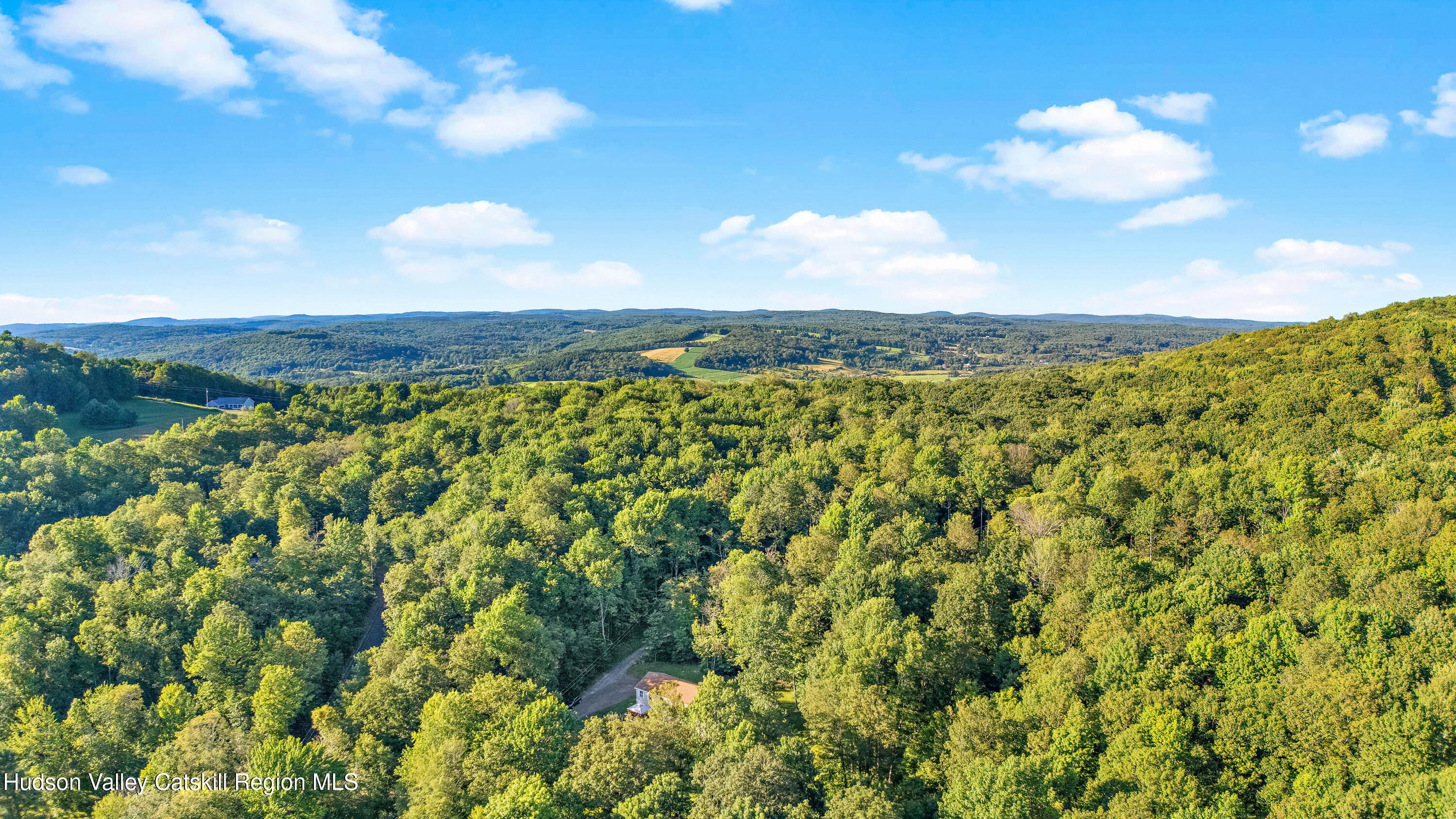 158 Easy Stamford, NY 12167 - Photo 5 of 88 a view of a bunch of trees