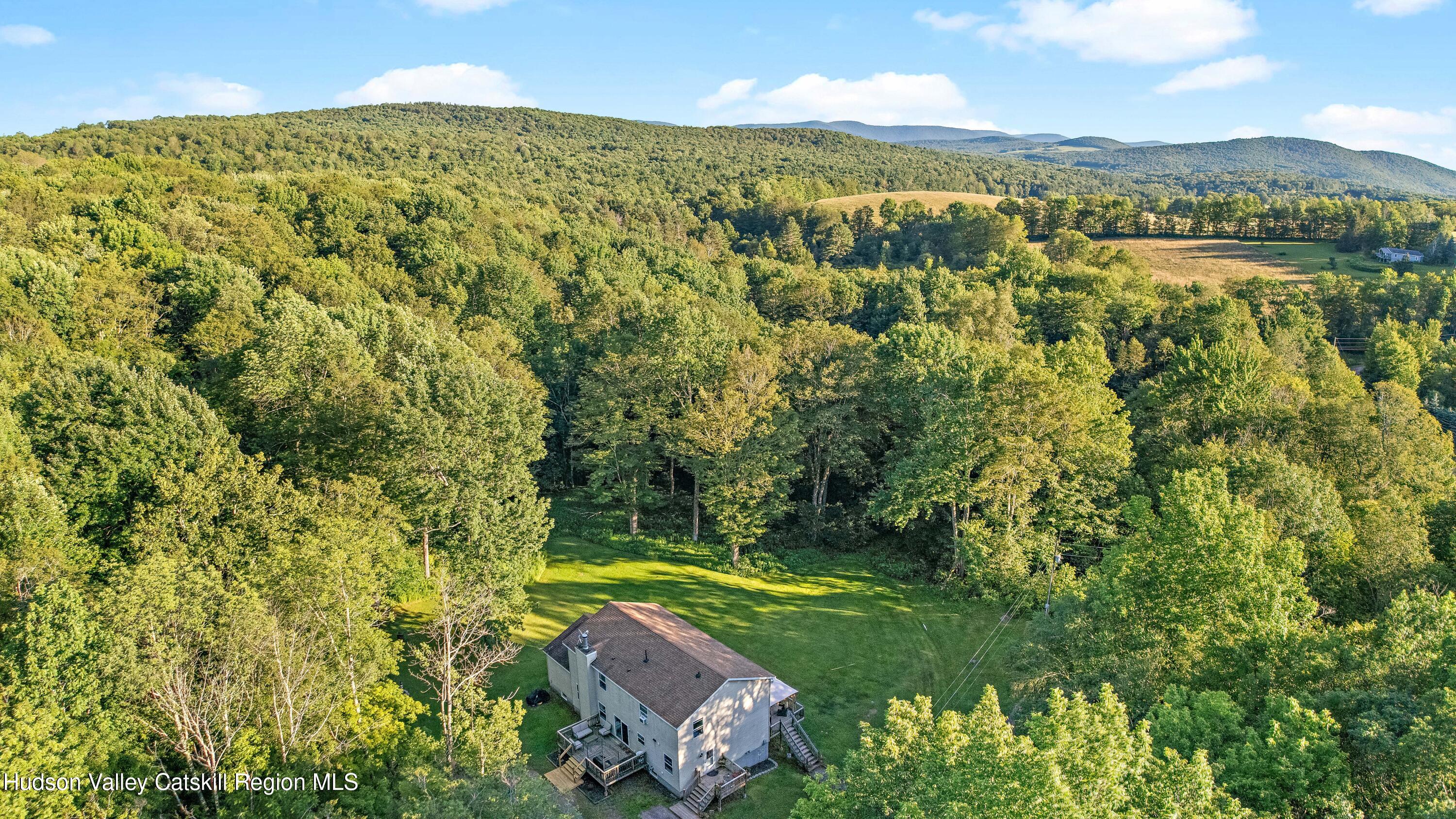 158 Easy Stamford, NY 12167 - Photo 73 of 88 158 Easy St Summer Drone Flex Ready (25