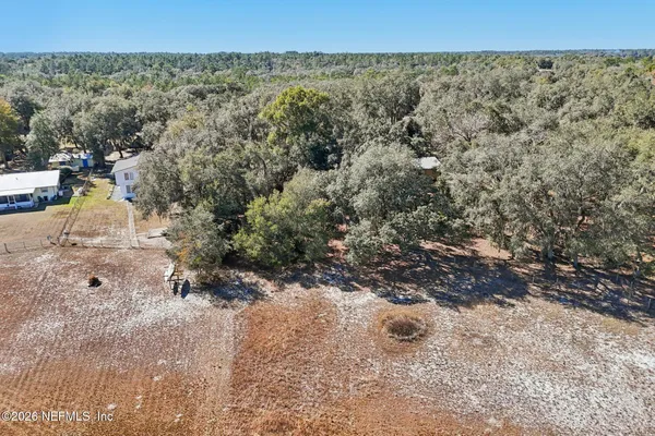 a view of a dry yard with trees