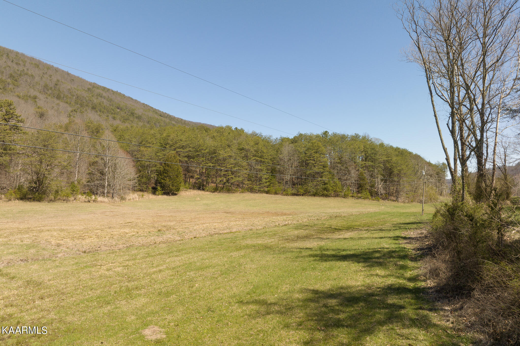 9 Firetower Road Rutledge, TN 37861 - Photo 4 of 13 7CAEF1B8-611A-4124-A598-E1FF35572058
