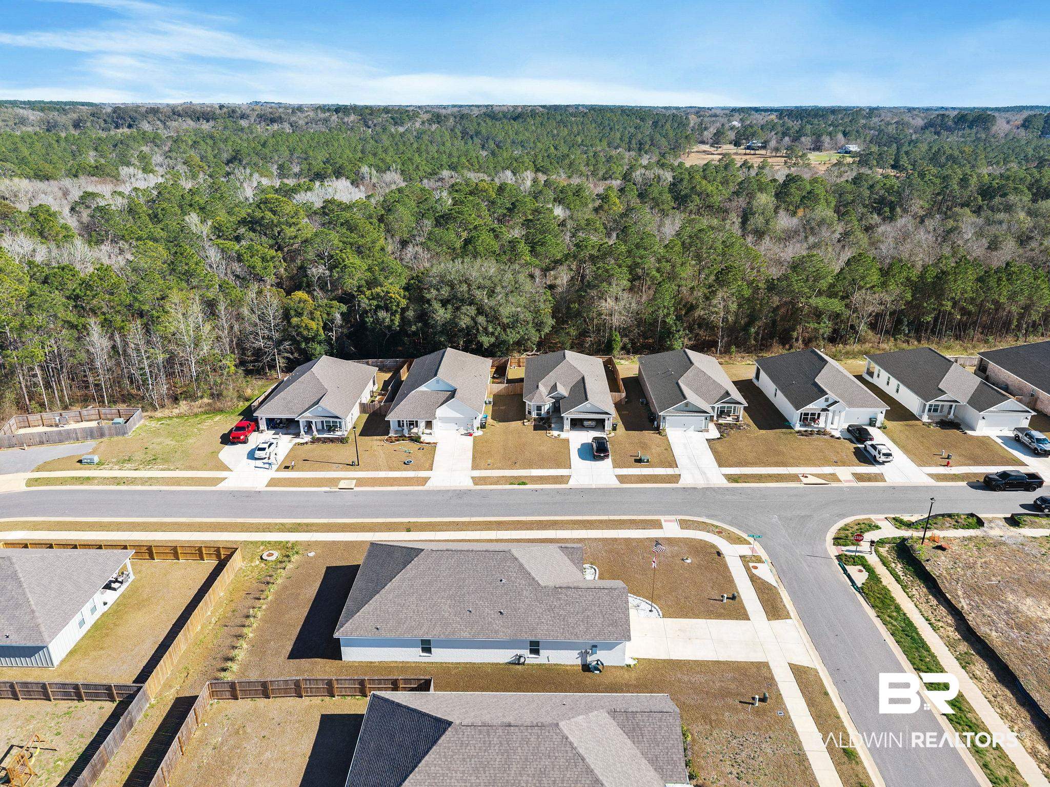 12919 Torrent Road Fairhope, AL 36532 - Photo 64 of 74 Aerial view of residential area featuring a forest