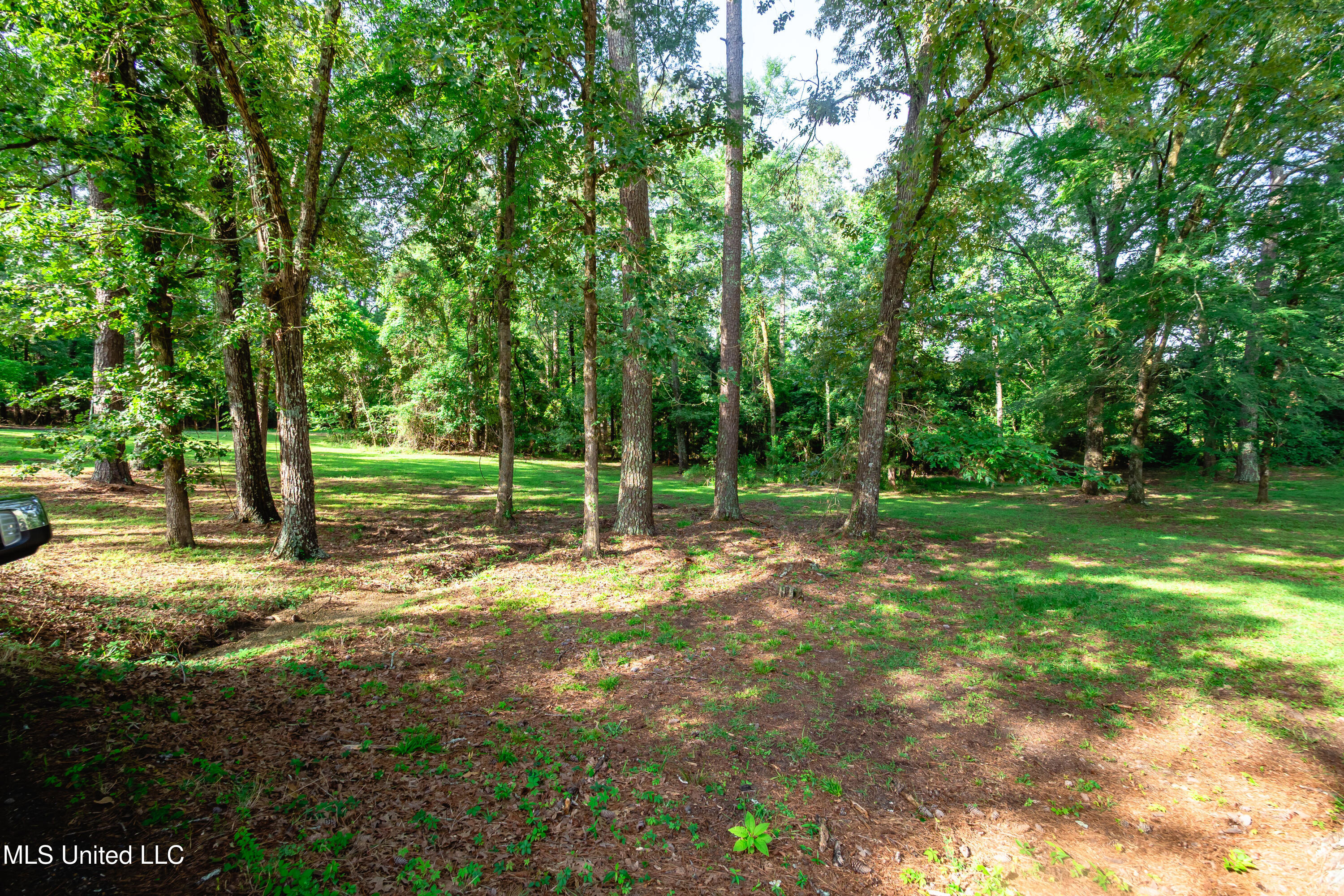 6147 Wirtz Road Flowood, MS 39232 - Photo 52 of 54 P6110086