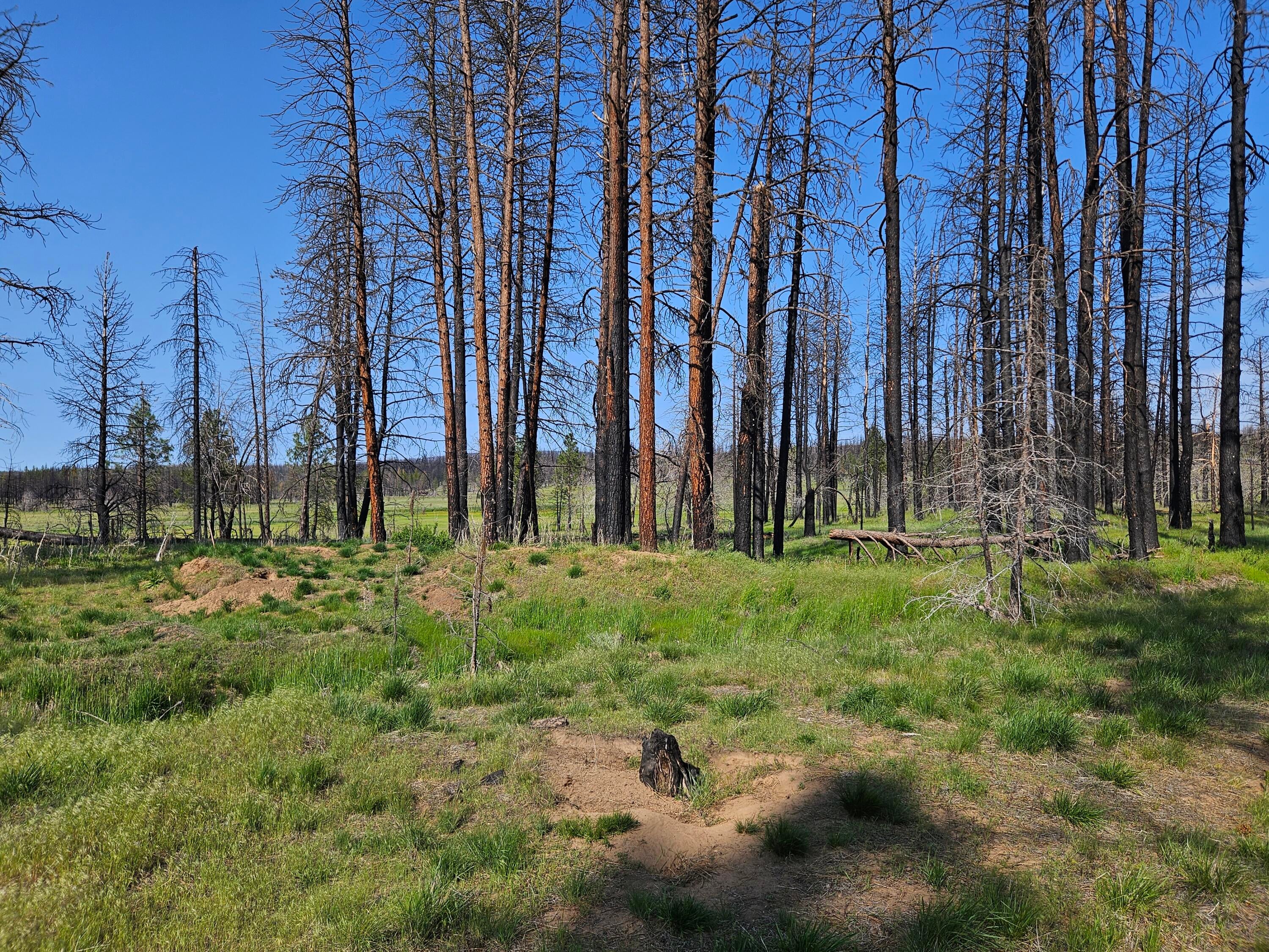 8 Parazoo Trail Bly, OR 97622 - Photo 21 of 27 20250601_170456