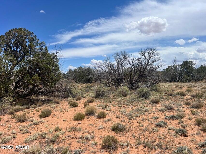 595-lot Graham Road Heber, AZ 85928 - Photo 11 of 21