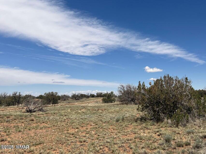595-lot Graham Road Heber, AZ 85928 - Photo 13 of 21 a view of lake and mountain
