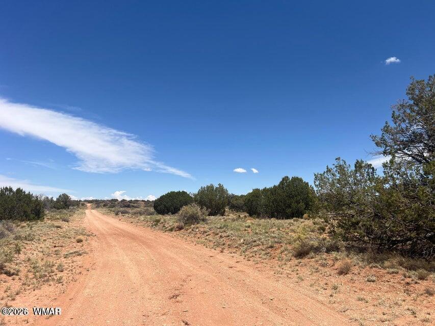 595-lot Graham Road Heber, AZ 85928 - Photo 15 of 21 a view of mountain view and mountain view