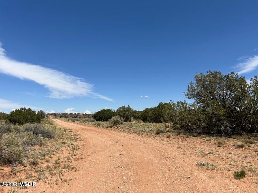 595-lot Graham Road Heber, AZ 85928 - Photo 16 of 21 a view of a dry yard with a tree