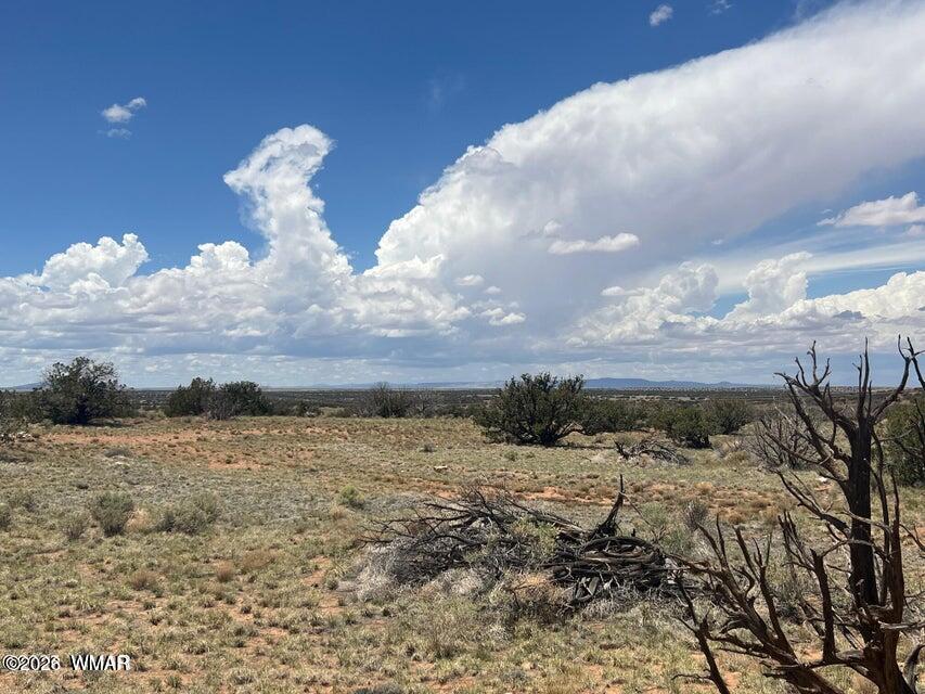 595-lot Graham Road Heber, AZ 85928 - Photo 17 of 21 a view of a sky