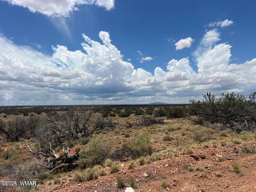 595-lot Graham Road Heber, AZ 85928 - Photo 20 of 21