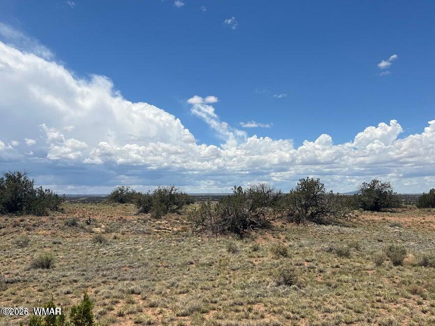 595-lot Graham Road Heber, AZ 85928 - Photo 21 of 21 a view of a sky