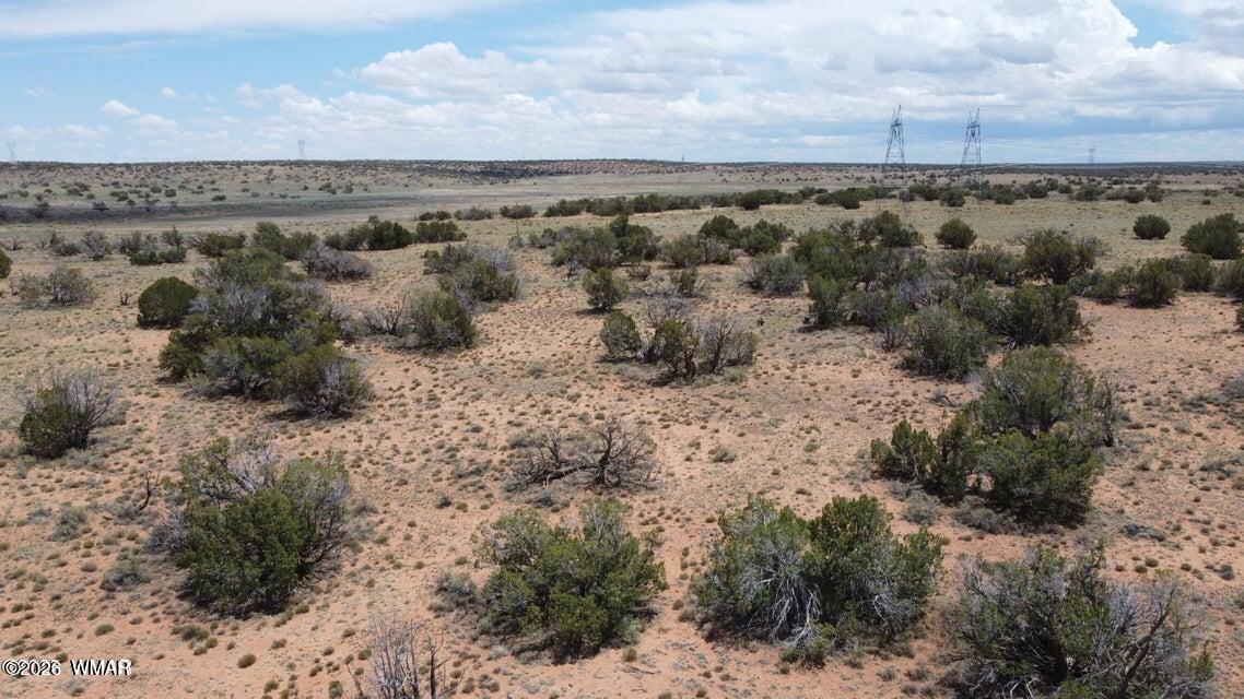 595-lot Graham Road Heber, AZ 85928 - Photo 3 of 21 a view of a dry yard