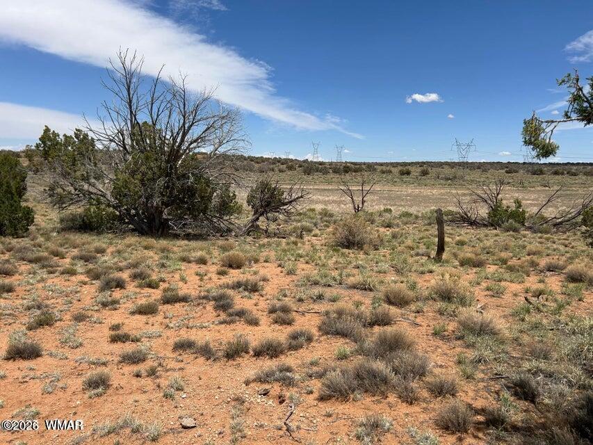 595-lot Graham Road Heber, AZ 85928 - Photo 7 of 21 a view of a dry yard with wooden fence