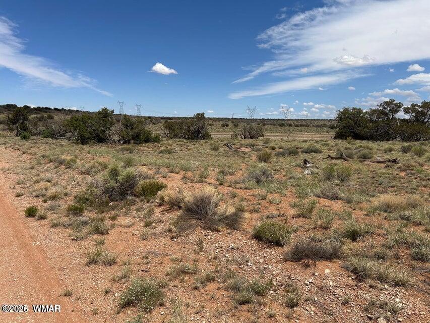 595-lot Graham Road Heber, AZ 85928 - Photo 8 of 21 a view of a dry yard with wooden floor and mountain view
