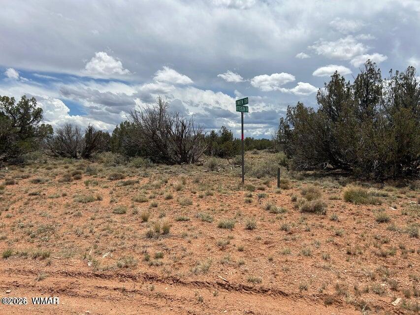 595-lot Graham Road Heber, AZ 85928 - Photo 10 of 21 a view of a dry yard