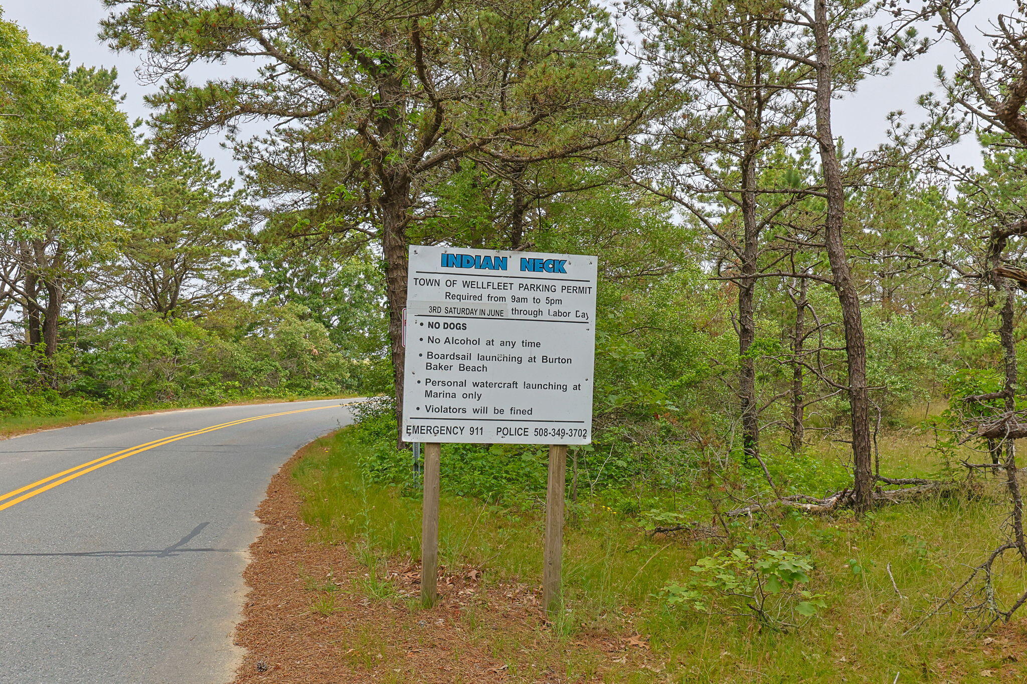 135 Indian Neck Road Wellfleet, MA 02667 - Photo 40 of 44 34-web-or-mls-135-indian-neck-rd
