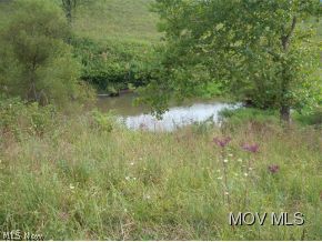 0 Rt 47 Macfarlan, WV 26148 - Photo 10 of 18