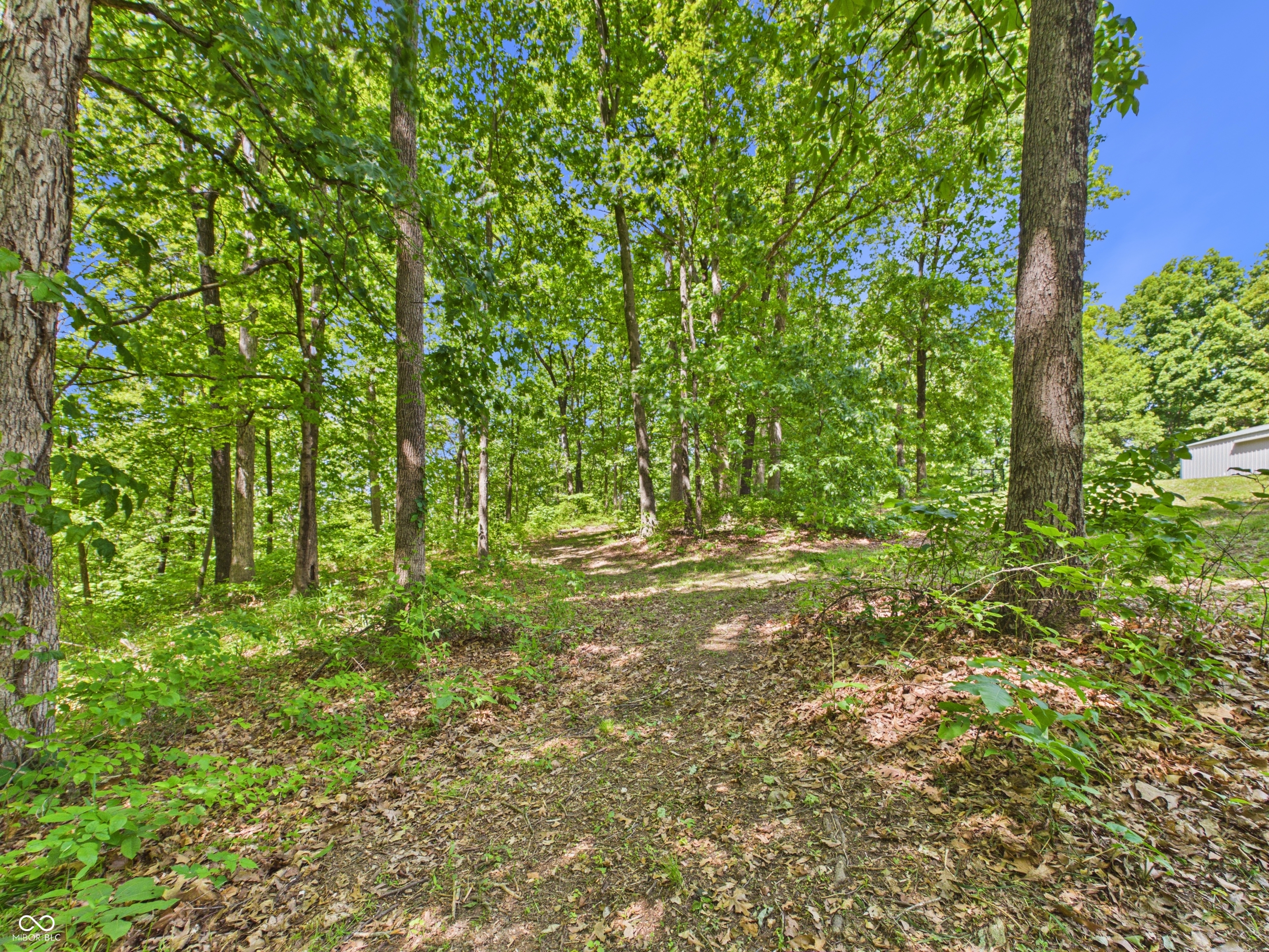 8052 East Ash Road Bloomfield, IN 47424 - Photo 6 of 46 Gallery Image 6