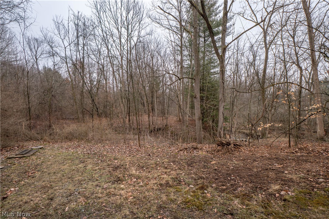 23095 Foster Road Wellington, OH 44090 - Photo 37 of 42 Gallery Image 37