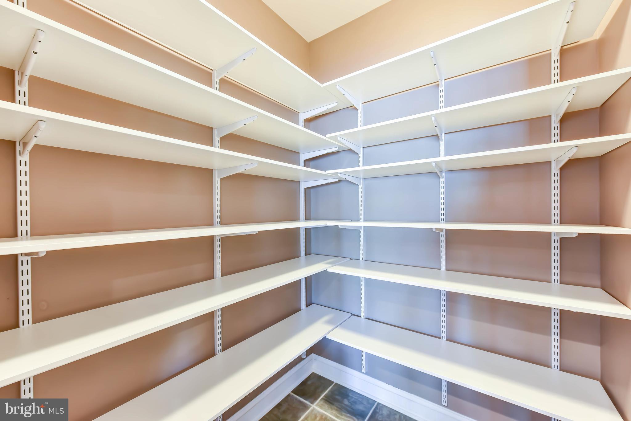 8244 Native Violet Drive Lorton, VA 22079 - Photo 20 of 68 a view of walk in closet with empty racks