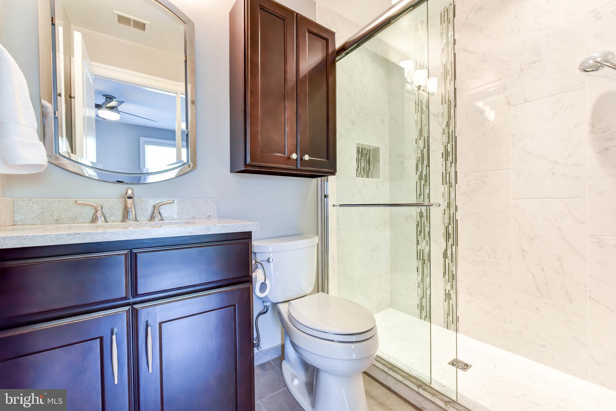 8244 Native Violet Drive Lorton, VA 22079 - Photo 46 of 68 a bathroom with a toilet a sink and a mirror