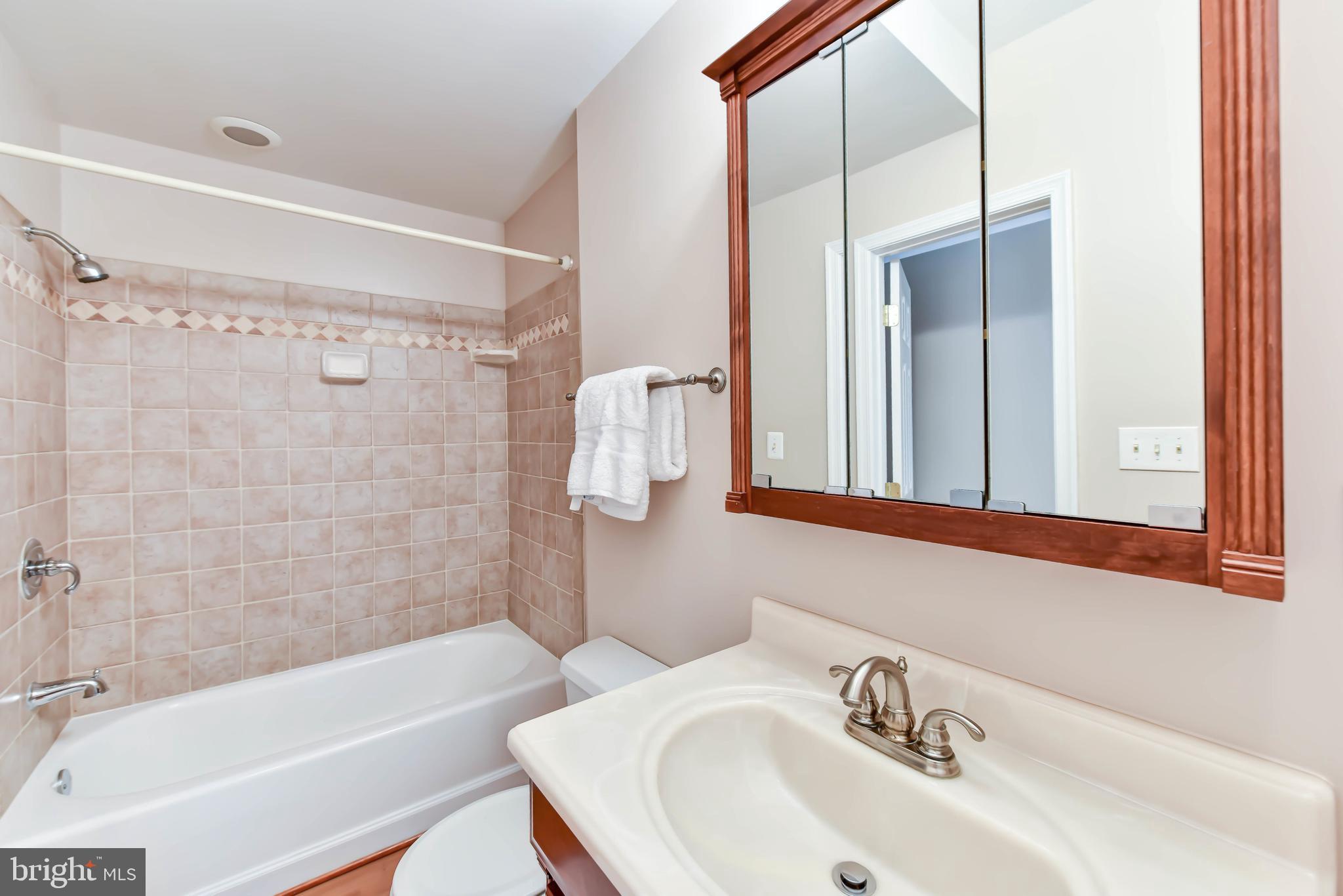 8244 Native Violet Drive Lorton, VA 22079 - Photo 49 of 68 a bathroom with a sink a mirror and a bathtub