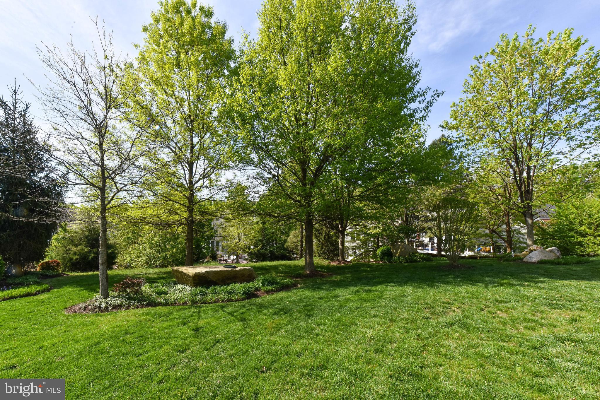 8244 Native Violet Drive Lorton, VA 22079 - Photo 60 of 68 a view of park with trees